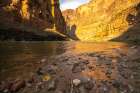USA-Arizona-Grand Canyon National Park Colorado River and cliffs Art Print